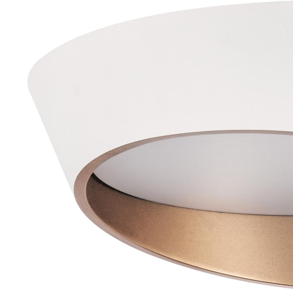 Потолочный светодиодный светильник Lightstar Celesta 809456 Потолочный светодиодный светильник Lightstar Celesta 809456