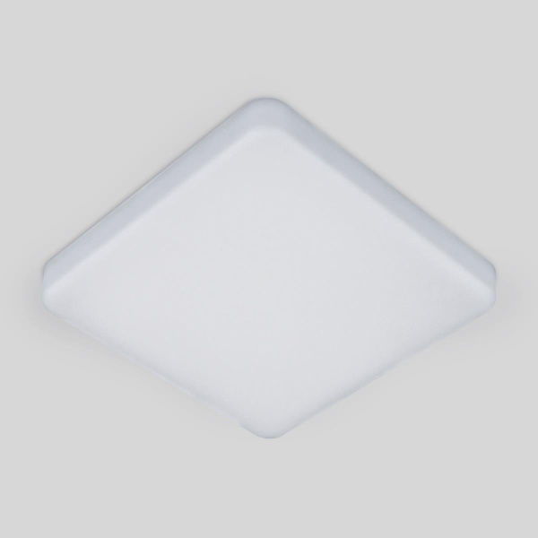 Потолочный светодиодный светильник Elektrostandard DLS043 10W 4200K a047941