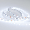 Светодиодная лента Arlight 14,4W/m 60LED/m 5060SMD холодный белый 5M 013341(2)