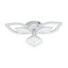 Потолочная светодиодная люстра Escada Anise 10288/6LED