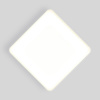 Потолочный светодиодный светильник Elektrostandard DLS043 10W 4200K a047941