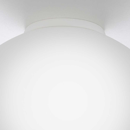 Светильник потолочный Citilux RON CL941D25B0