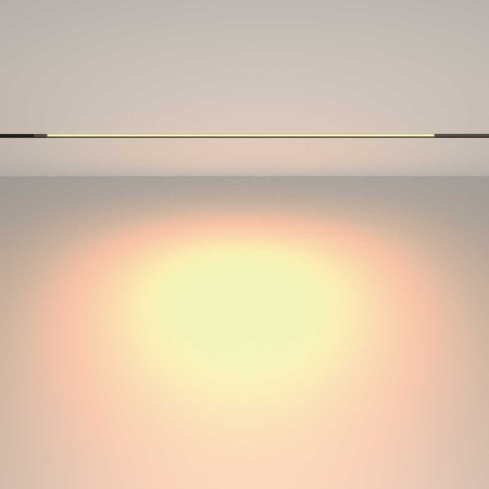 Трековый светильник Maytoni Technical EXILITY Basis TR231-2-15W3K-B