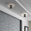 Потолочный светодиодный светильник Elektrostandard DLS026 7W 4200К черный a052837